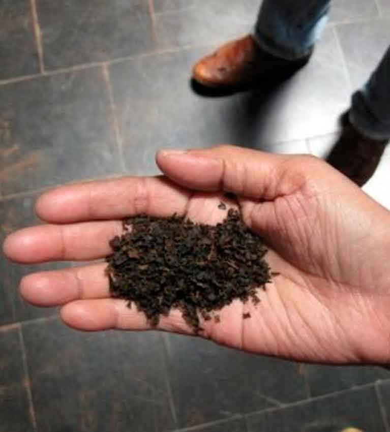 Индия. Чайная фабрика в Кунур (Devashola Tea Factory in Coonoor)